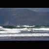 Gareth Sheerin photo: Bird with Clam